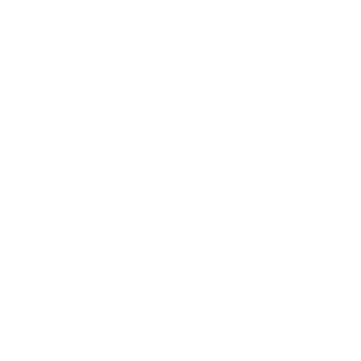 logo lidz
